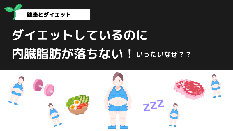 ダイエットしているのに内臓脂肪が落ちない!その原因と可能性は?