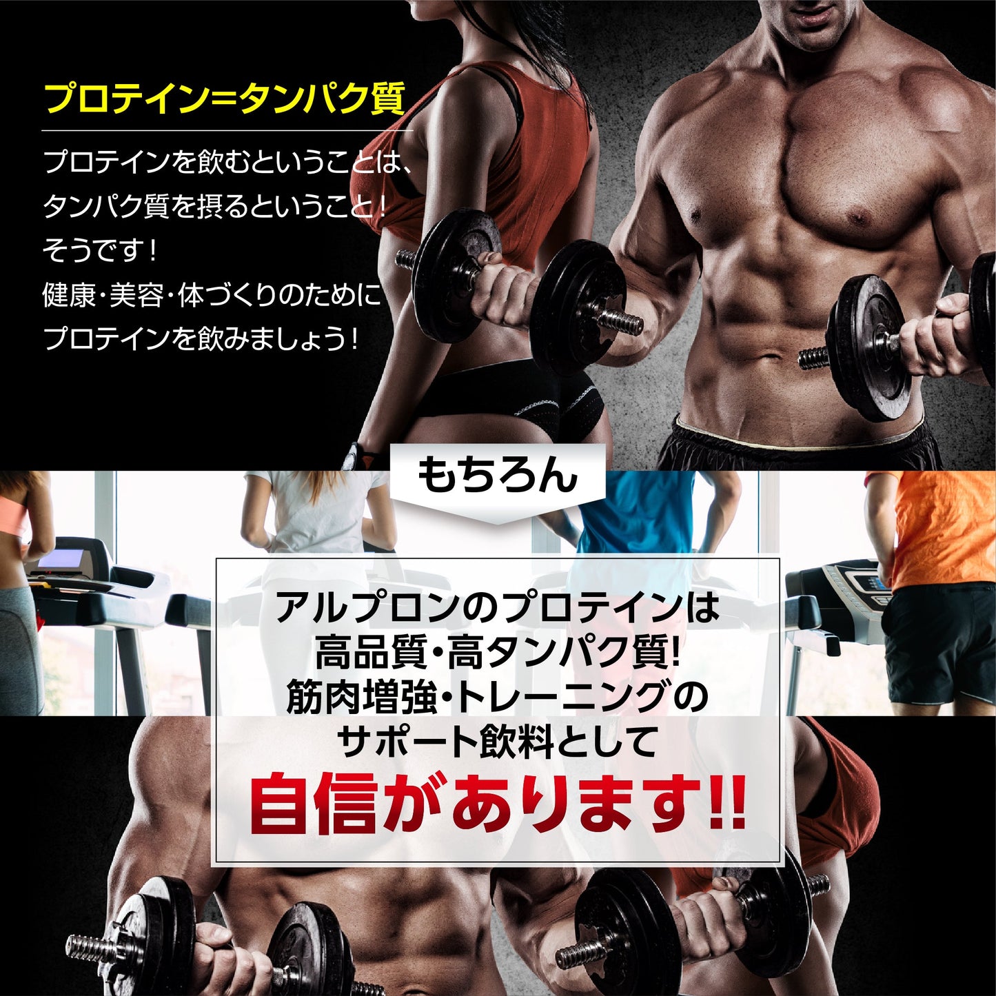 ALPRON WPC プロテイン (250g)