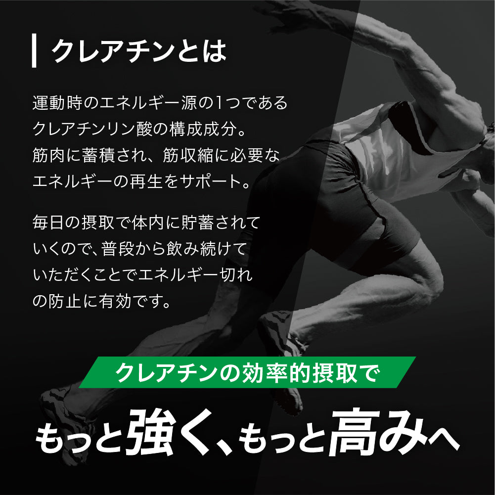 ALPRON PRO TOP ATHLETE クレアチン (500g)
