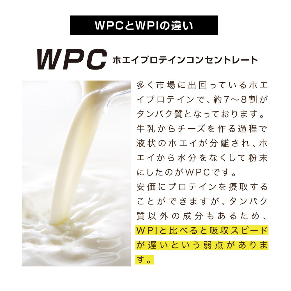 ALPRON THE BUILD WPI ホエイ プロテイン (900g 約30食) 横川尚隆監修