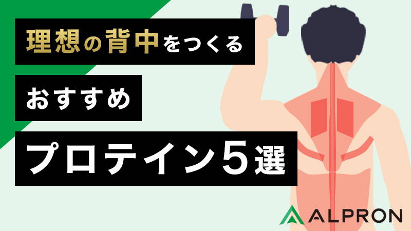 理想の背中づくりにおすすめプロテイン5選！自重やダンベルでの自宅筋トレメニューや筋肉の名前や背筋の鍛え方も図解・解説【僧帽筋・大円筋・広背筋・菱形筋・脊柱起立筋】
