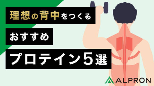 理想の背中づくりにおすすめプロテイン5選！自重やダンベルでの自宅筋トレメニューや筋肉の名前や背筋の鍛え方も図解・解説【僧帽筋・大円筋・広背筋・菱形筋・脊柱起立筋】