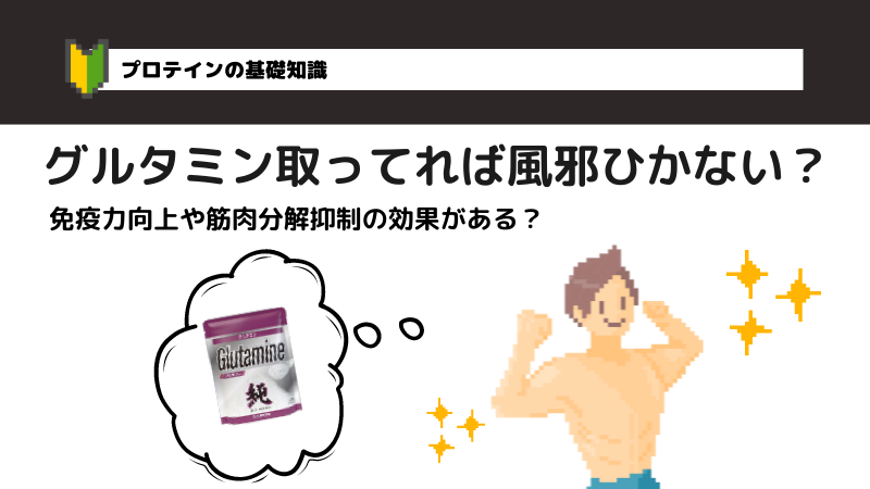 【最強説】グルタミンの効果とは？働きやリカバリー、疲労免疫力向上、筋肉分解抑制の影響