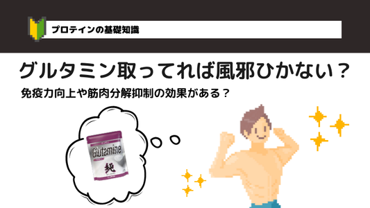 【最強説】グルタミンの効果とは？働きやリカバリー、疲労免疫力向上、筋肉分解抑制の影響