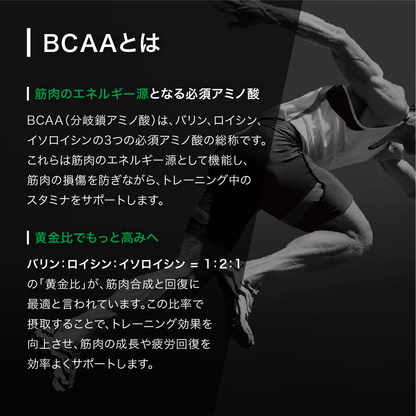 ALPRON PRO TOP ATHLETE BCAA プレーン (100g)